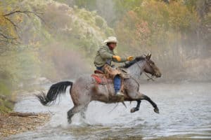 USA, Wyoming, Cowboy rides his horse across river